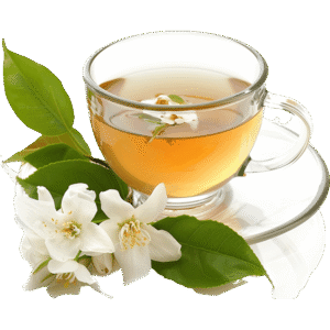 Jasmine Tea (Hot/Iced)